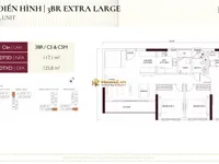 Ảnh 15