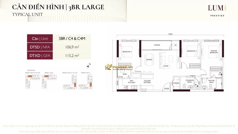 Hình ảnh minh họa 5