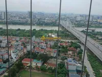Ảnh 8