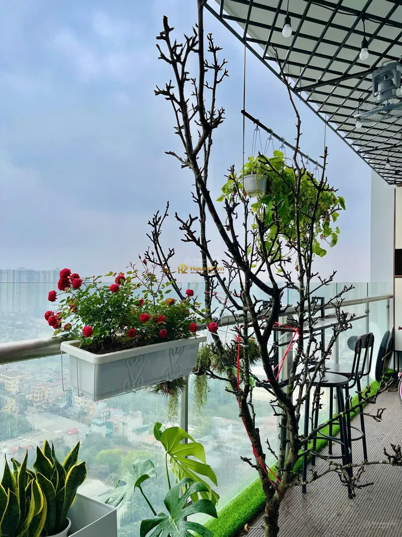 Hình ảnh minh họa 3
